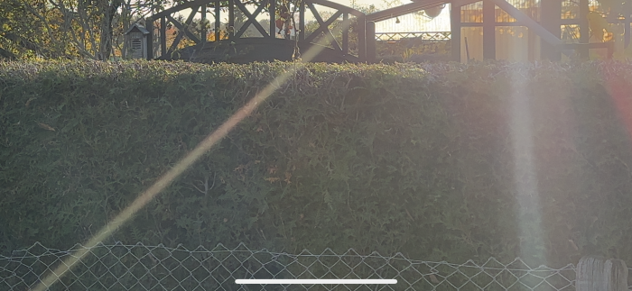 Ein Ausschnitt aus einem 4K-Video, das mit dem iPhone gemacht wurde. (Bild: Martin Wolf/Golem.de)